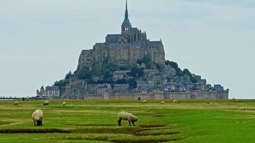 Green Meadows with Sheep Walking on Them Against the Backdrop of the Worldfamous Castleisland of