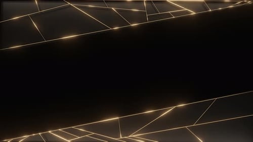 Elegant Black and Gold Geometric Lines Reveal Background