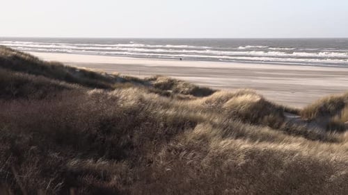 Wide shot showing waves on the ocean during sunny day and beach grass in the wind.
