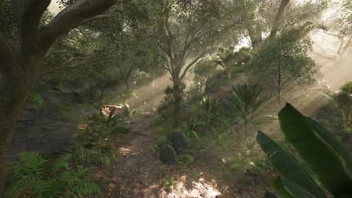 La lumière du soleil filtre à travers les arbres d'une forêt luxuriante pendant une matinée sereine