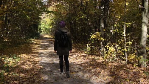 A woman walks through the autumn forest, park. Lots of trees with yellow and green leaves.