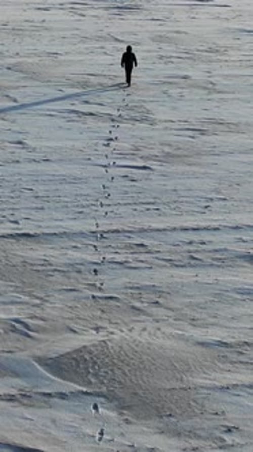 Lonely Human Walk Throw Snowy Desert