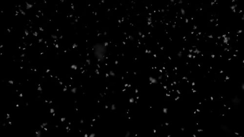 Snow Falling