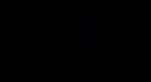 Vídeo de una sola explosión de fuegos artificiales sobre fondo negro para celebraciones y ocasiones festivas