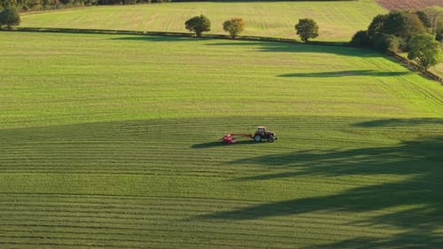 Traktor mäht Gras auf ländlichem Ackerland für die Viehfütterung Landwirtschaftliche Maschine schneidet Weide auf