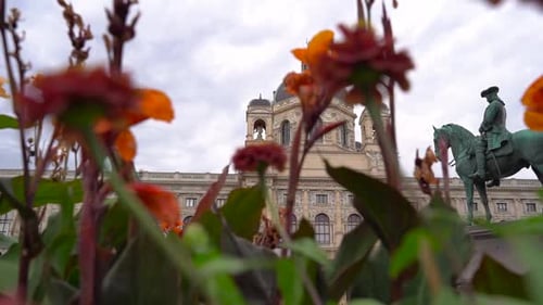 Right moving slow Motion slider through flowers with backdrop of Vienna Natural History Museum and s
