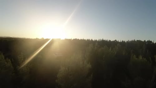 Aerial FPV video over the Ben Shemen forest on a sunny day in Israel