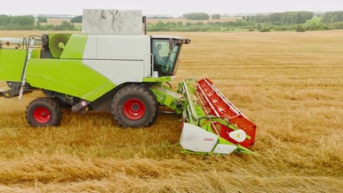 Combine Harvester Harvesting Wheat in a Field