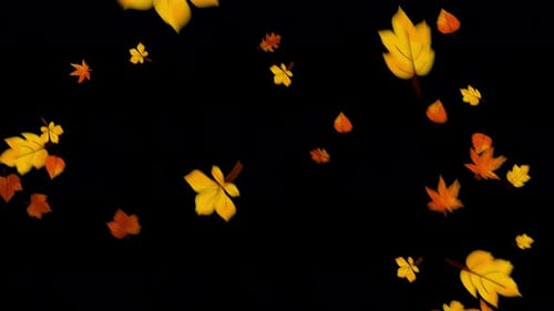 Autumn Leaf Falling