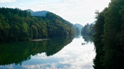 Forest area is crossed by river with reflected surrounding trees, tracking drone shot
