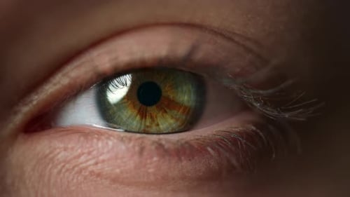 Beautiful Female Eye Staring at Camera. Macro Young Woman Blinking Eye Without