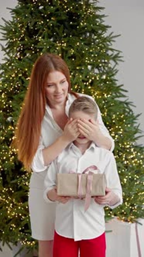 Madre le da un regalo de Navidad a su hijo mientras cierra los ojos (vídeo vertical)