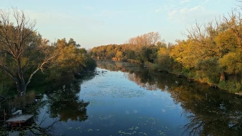 Flying with a drone over a serene river surrounded by autumnal trees with golden and green foliage.