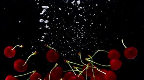 Fresh Red Cherries Dropping into Water on Black