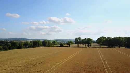 Kent Countryside, UK - Drone flies over wheatfield at sunset