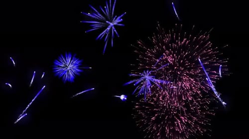 Fogos de artifício animados coloridos em fundo de céu preto