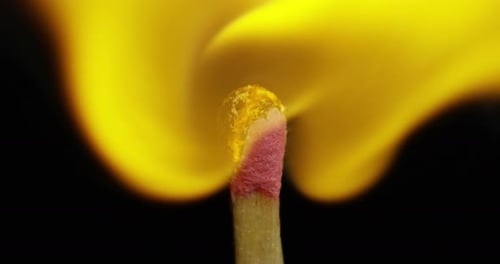 Macro shot of a match that is access. Concept: passion, power, sportiness, engines, aggression and