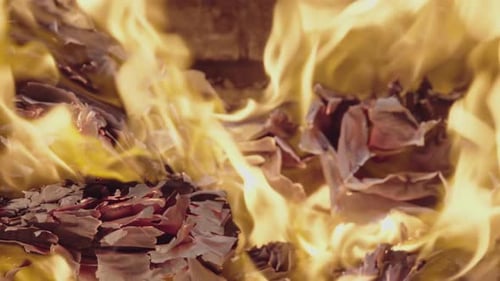 Yellow Flames Burning Paper or Book Pages