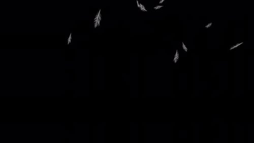 Looping Gentle White Feathers Falling Background