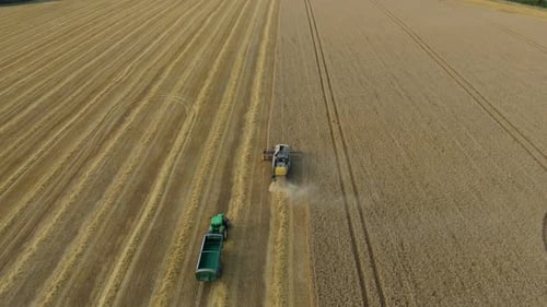 Aerial View of Harvesting in British Countryside