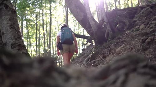 Hiker girl, woman outdoors in mountain forest, nature walking, strolling, wandering at the woods on