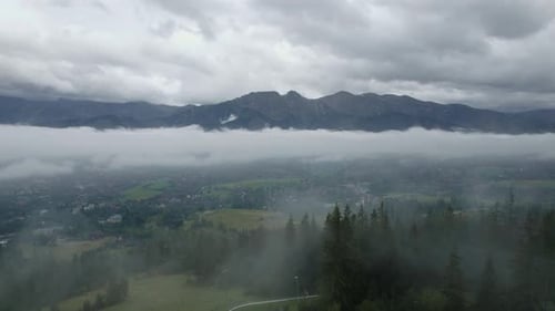 Drone Video of the Foggy Forest in Mountains Flight Through the Clouds 10 Bit