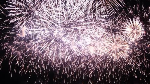 Beautiful fireworks in the night sky. New year's eve fireworks celebration.