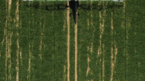 Green Tractor at Work in Field