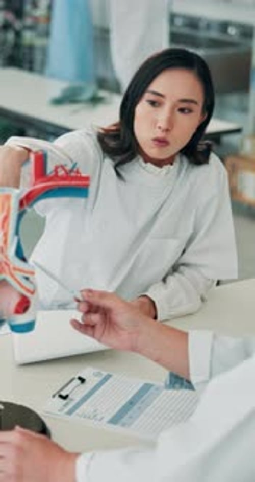 Woman, student and doctors with heart model, teaching and learning at healthcare university