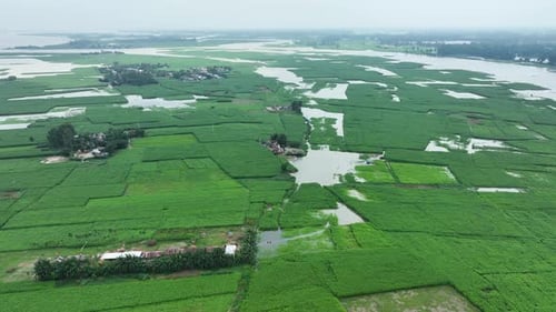Aerial view of flooded fields, Bangladesh.
