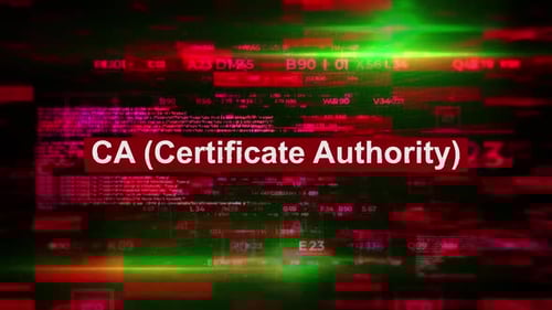 Futuristic Digital Data Title Reveal