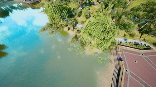 Aerial View of Beautiful Park