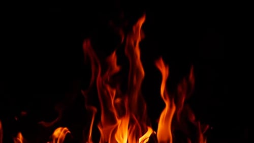 Red and yellow flame from burning fire in darkness