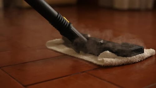 Steam Mop Cleaning Wood Floor