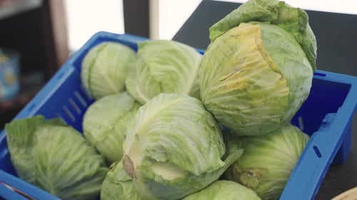 Closeup shot of cabbage at grocery store. Fresh produce.