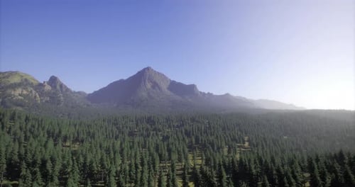 Expansive Green Forest Under Bright Blue Sky with Distant Mountains