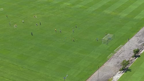 Professional soccer team training session on lush green field