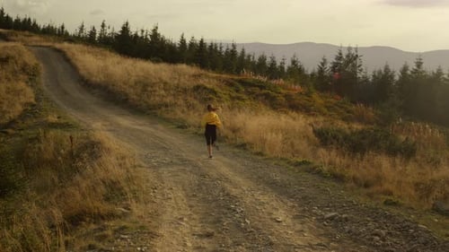 Woman Exercising In Natural Landscape. Back View Athletic Girl Jogging On Dirty Road. Wide Shot F...