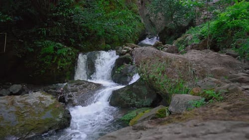 Wild river in mountain forest. River flow. Mountain forest river.