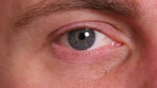 Extreme Closeup of Man'S Eye Adult