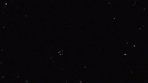 Superposition de grain et de brosse Noise Dust