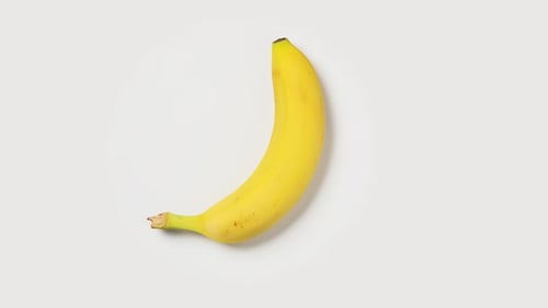 Bananenspinnen auf weißem Hintergrund