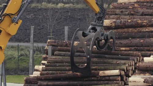 Der Holzlader bewegt Stapel von Kiefernstämmen.