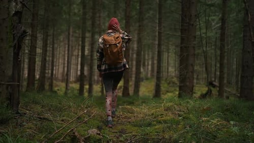 Young Woman Hiking Alone Through Deep Dense Green Pine Forest