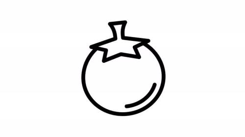 tomato line icon animation