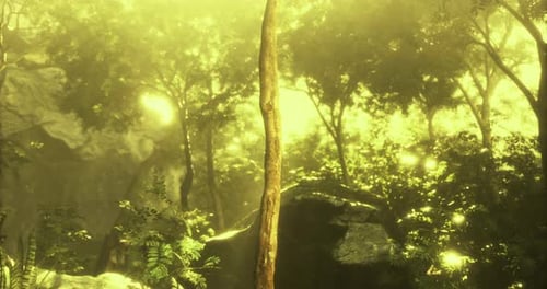 Sunlit Forest with Tall Trees Amid Lush Greenery in Tranquility