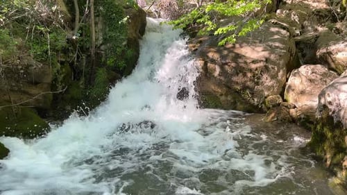 Der Wasserfall fließt malerisch in eine mit Wald bewachsene Natursteinschale
