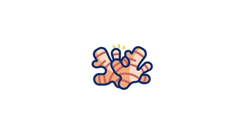 Animated Hand-Drawn Ginger Root Icon Reveal