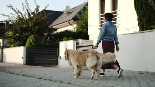 Stilvolle Frau geht mit Golden Retriever-Hund draußen auf dem Bürgersteig spazieren