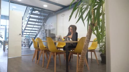 Mature Woman Working in a Modern Office